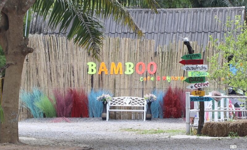 จุดเช็คอินใหม่! เมืองสุราษฎร์ฯ bamboo cafe & restaurant แชะภาพ อุโมงค์ต้นไผ่ ชิม ยำหน่อนาง