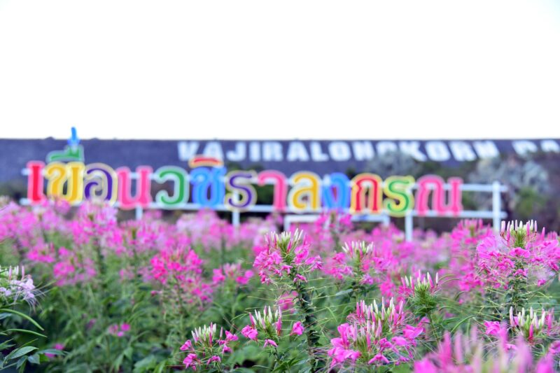 เขื่อนวชิราลงกรณ เปิดให้เที่ยวชม ล่าสุด 2567