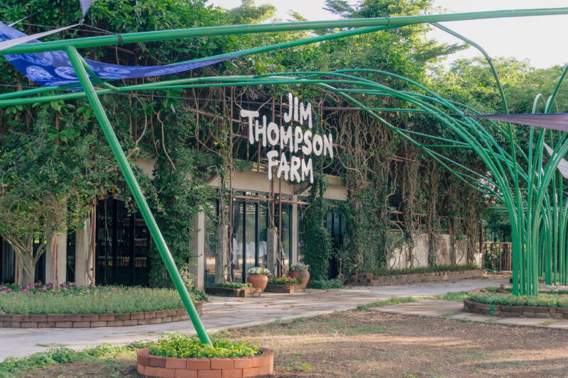 ปีใหม่ 2567 ม่วนรับลมหนาว ชมดอกไม้บาน ที่ จิม ทอมป์สัน ฟาร์ม