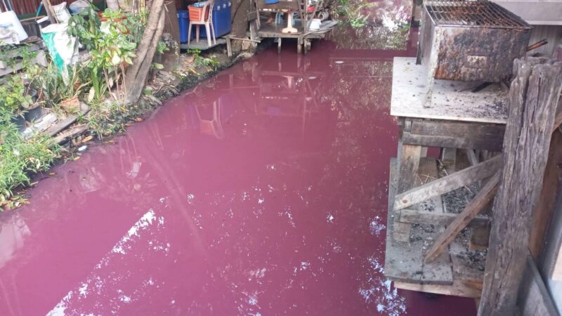 “ศุภมาส” สั่งการ “ทีม DSS” ลงพื้นที่ตรวจสอบคุณภาพน้ำสีชมพู คลองบางแพรก นนทบุรี หวั่นกระทบคุณภาพชีวิตประชาชน