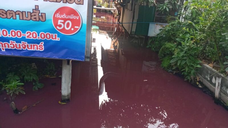 “ศุภมาส” สั่งการ “ทีม DSS” ลงพื้นที่ตรวจสอบคุณภาพน้ำสีชมพู คลองบางแพรก นนทบุรี หวั่นกระทบคุณภาพชีวิตประชาชน