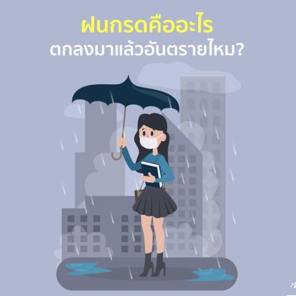วศ.อว. เตือนภัย “ภาวะฝนกรด” กระทบสุขภาพ หลังโซเชียลแชร์ภาพถนนเป็นฟองสีขาวหลังฝนตก แนะหลีกเลี่ยงการตากฝนและไม่ควรรองรับน้ำฝนในช่วงแรก