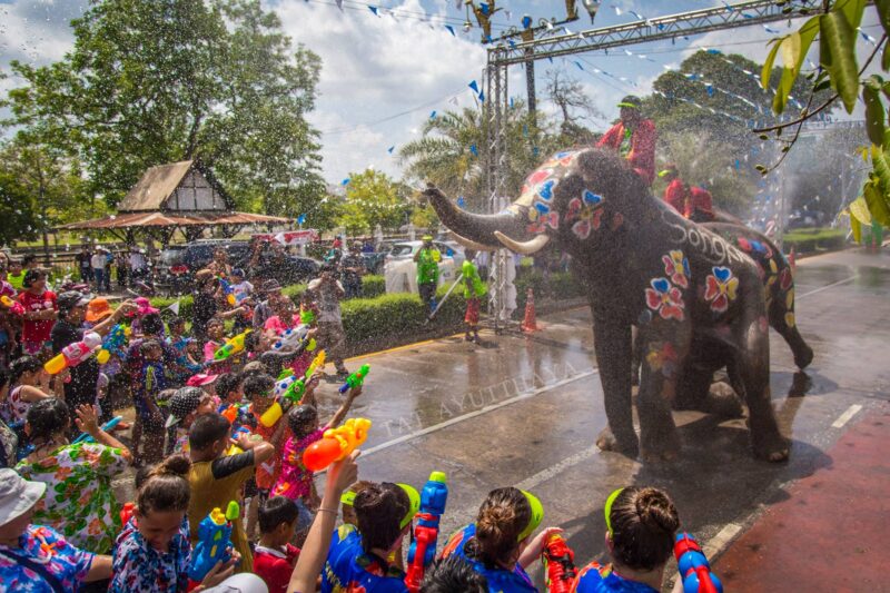 สงกรานต์อยุธยา 2567 เล่นน้ำกับน้องช้าง จัดที่ไหน วันไหน เช็กเลย