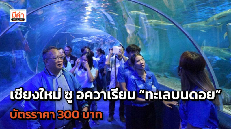 สวนสัตว์เชียงใหม่จัดเต็ม!! เปิดแล้วเชียงใหม่ ซู อควาเรียม “ทะเลบนดอย”