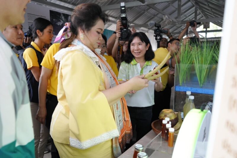 วศ.อว. ร่วม ครม.สัญจร ครั้งที่ 3/2567 “ฐานเศรษฐกิจสีเขียว และการท่องเที่ยวเชิงนิเวศ” จังหวัดเพชรบุรี หนุนเทคโนโลยีตอบโจทย์ชุมชน พร้อมโชว์ผลงานเด่นต้อนรับคณะรัฐมนตรี อว.