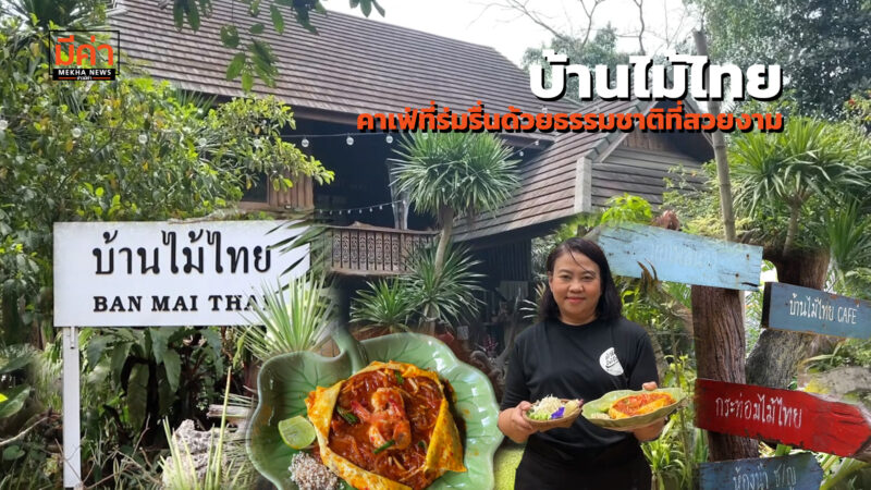 สายธรรมชาติต้องจัด! “บ้านไม้ไทย” คาเฟ่สุดร่มรื่นในสุราษฎร์ฯ