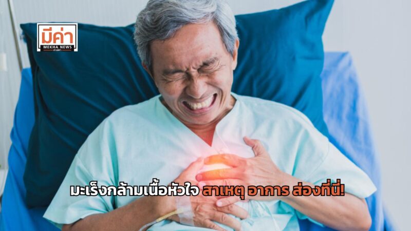 มะเร็งกล้ามเนื้อหัวใจ สาเหตุเกิดจากอะไร อาการ สัญญาณเตือน มีอะไรบ้าง ส่องเลย!