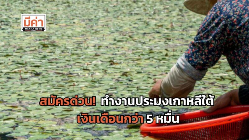 สมัครด่วน! ทำงานประมงเกาหลีใต้ เงินเดือนกว่า 5 หมื่น หมดเขต 6 ต.ค. 67