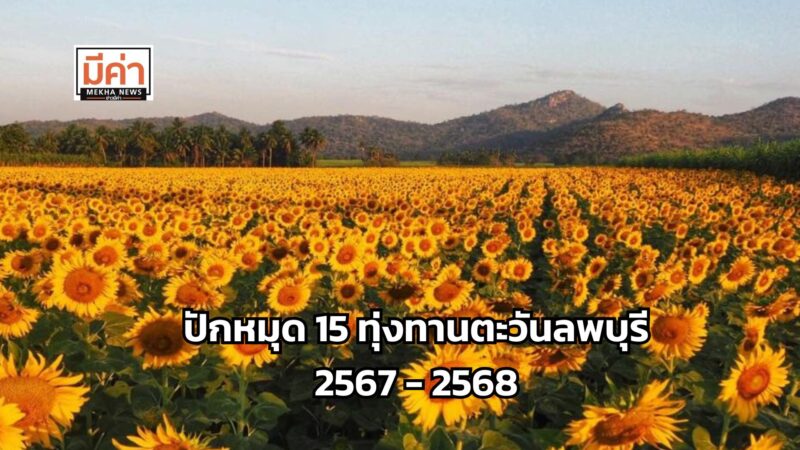ปักหมุด 15 ทุ่งทานตะวันลพบุรี 2567 – 2568