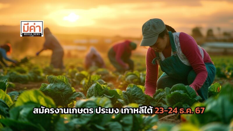 สมัครงานเกษตร ประมง เกาหลีใต้ 23-24 ธ.ค. 67