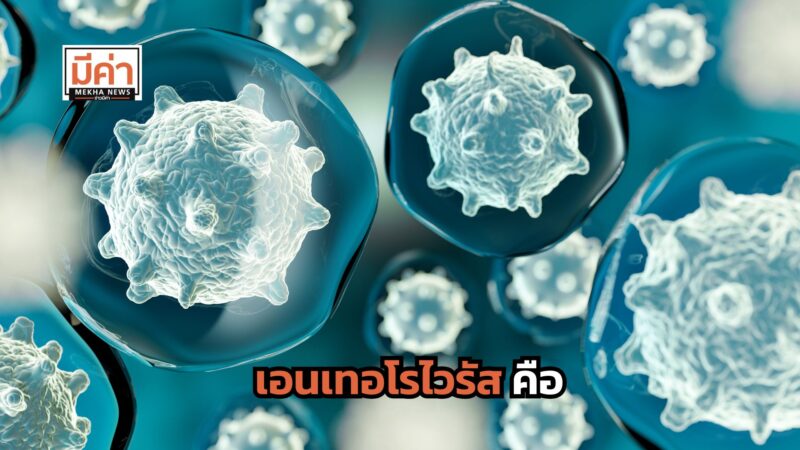 เอนเทอโรไวรัส คือ