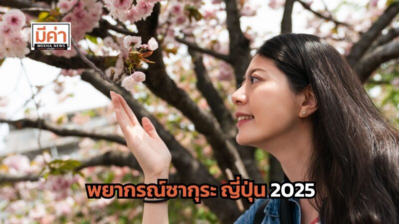 พยากรณ์ซากุระ ญี่ปุ่น 2025 แพลนให้ดี ก่อนเที่ยว