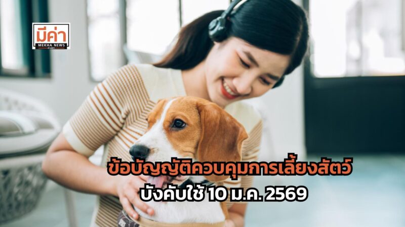 เตือนทาส ศึกษากฏหมายใหม่ ข้อบัญญัติควบคุมการเลี้ยงสัตว์ บังคับใช้ 10 ม.ค. 2569 ฝ่าฝืนมีโทษ!