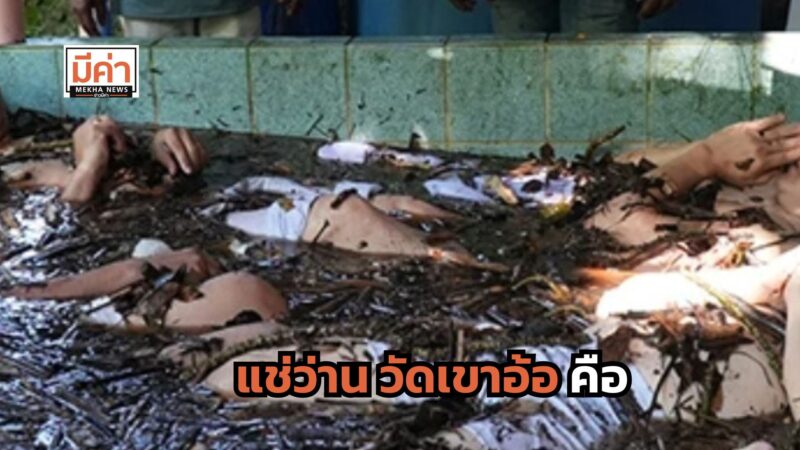 แช่ว่าน วัดเขาอ้อ คือ