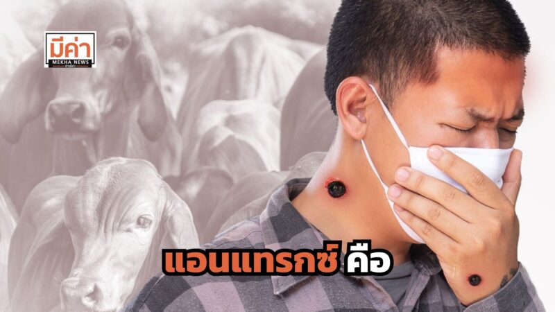 แอนแทรกซ์ คือ