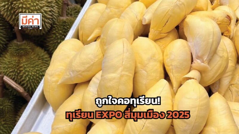 ทุเรียน EXPO สี่มุมเมือง 2025 พูละ 5 บาท ลูกละ 99 บาท 9-12 พ.ค.