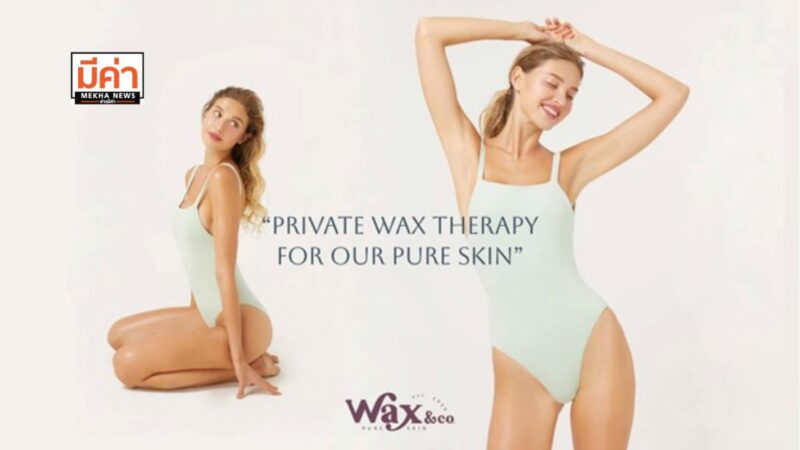 รวมทุกเรื่องต้องรู้ก่อนเว็กซ์ขน By Wax&co