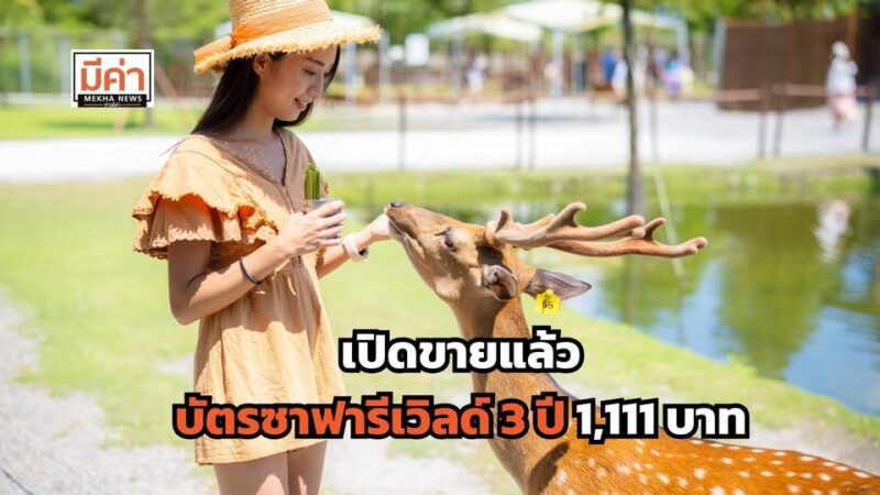 บัตรซาฟารีเวิลด์ 3 ปี 1,111 บาท เที่ยวไม่อั้น เปิดขายถึง 15 ก.ย. 68